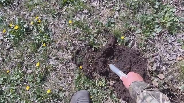 Фортуна м 3 Удачный коп монет вдоль ставка № 137 смотреть онлайн