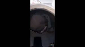 Как покрасить бейсболку в домашних условиях