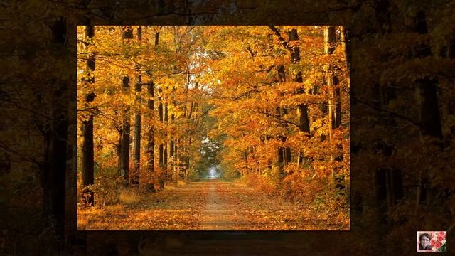 Закружила осень золотая смотреть онлайн