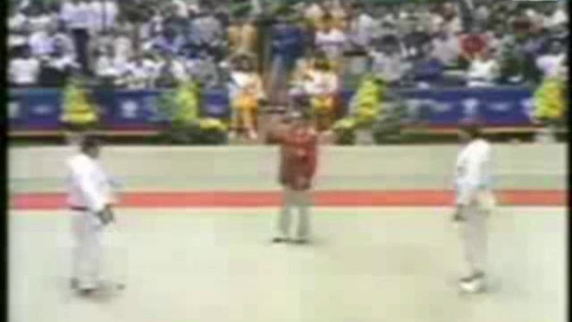 Judo 1988 Seoul: Saito (JPN) - Stoehr (GER) [+95kg]