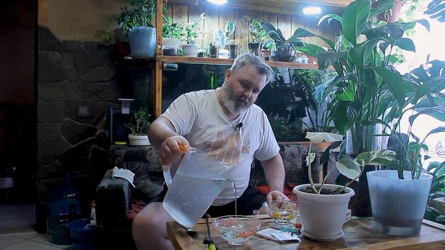 ПОДГОТОВИТЬ ВОДУ для полива цветов, ДОБАВЬ две ТАБЛЕТКИ и КИСЛОТНОСТЬ воды станет 5.5 смотреть онлайн
