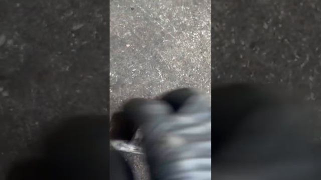 This Ford Bronco Was Trying To Buck Me Off￼ смотреть онлайн