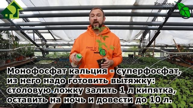 Что использовать вместо подкормки ФОСФОРНЫМИ удобрениями. Подкормка ФОСФОРОМ ДАЖЕ БЕЗ ФОСФОРА! смотреть онлайн