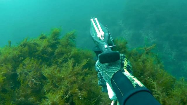 Подводная охота, поздняя Осень смотреть онлайн