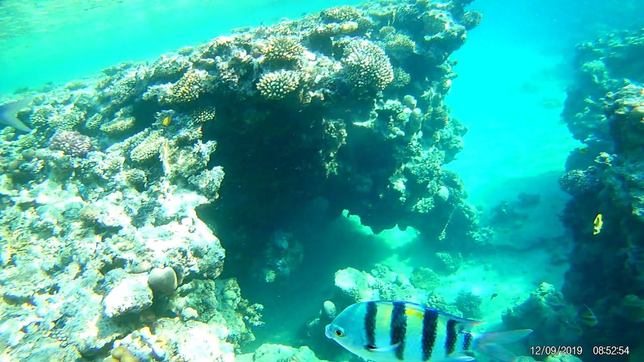 ТЮЛЬКА 1,5 М. смотреть онлайн