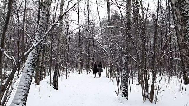 Спасая волков из огненного плена, мичман-подводник даже и представить не мог, как они отблагодарят смотреть онлайн