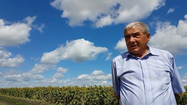 О ячмене Нутенс 535 К.Б.Идиатуллов смотреть онлайн