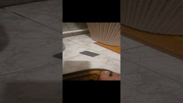 гло вебрирует что делать.mp4