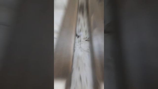 обработка массива лаком на водной основе, аквалак, #woodworking #woodworking #wood смотреть онлайн