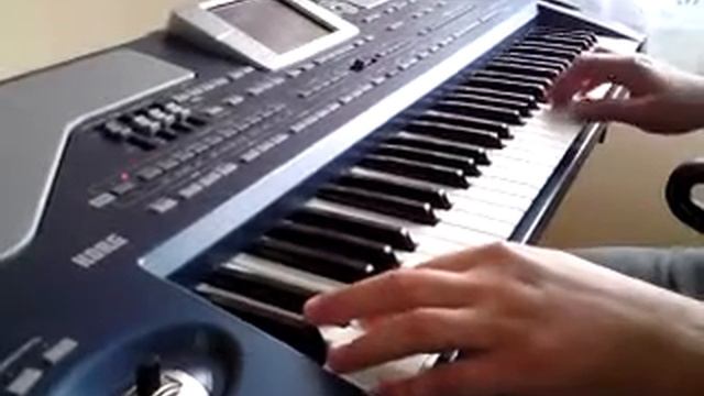 korg pa800 Dom wschodzącego słońca смотреть онлайн