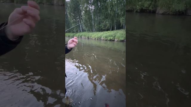 Ох уж эти рыбаки😃 #shelovetravels #россия #рыбалка #чусовая #река смотреть онлайн