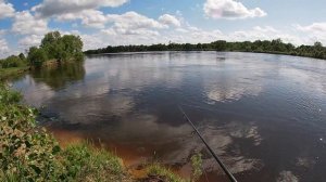 Ловим чехонь. Намеренный лов чехони.