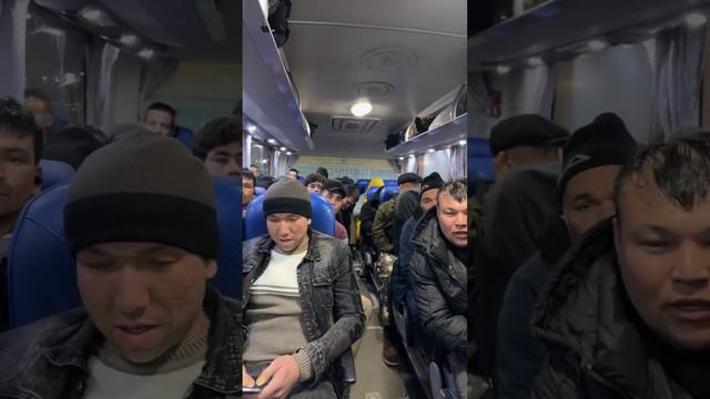 Ташкент Москва автобус +998933389991 +79691775050 смотреть онлайн