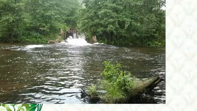 На берегах заповедной Колпи смотреть онлайн