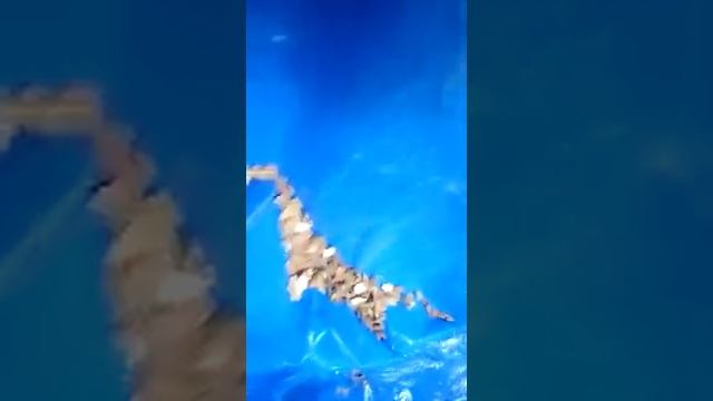 Badem temızleme смотреть онлайн