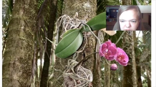 Азбука естествознания Д