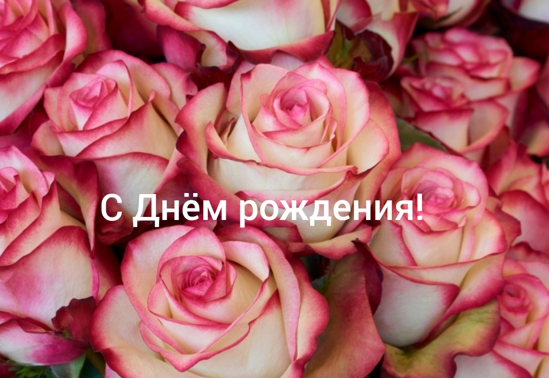 С Днём рождения! смотреть онлайн