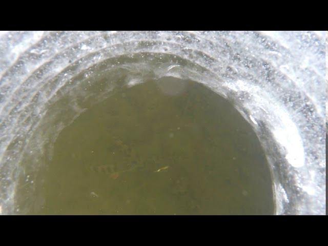 Окунь в лунке смотреть онлайн