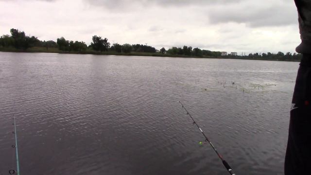 Рыбалка на карася. Ловля карася летом. Рыбалка 2017, Харьков. смотреть онлайн