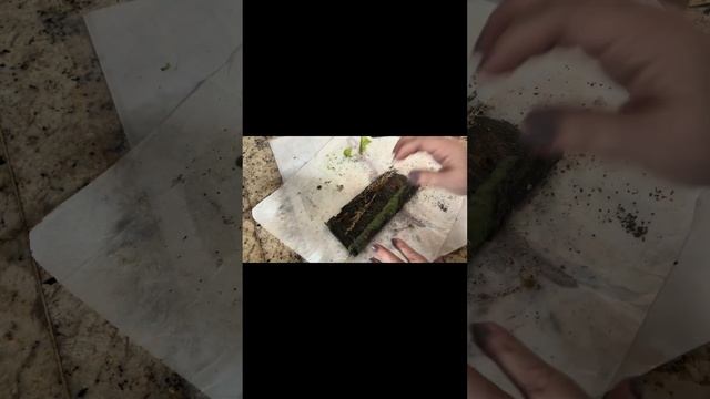 ?️программные свечи для преобразования зависти, злости в деньги и благополучие. #магия #деньги смотреть онлайн