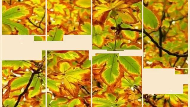 Зима, весна, лето, осень. смотреть онлайн