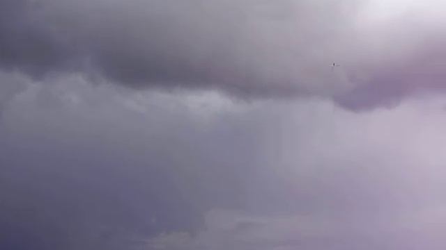 Лопасти гриль смотреть онлайн