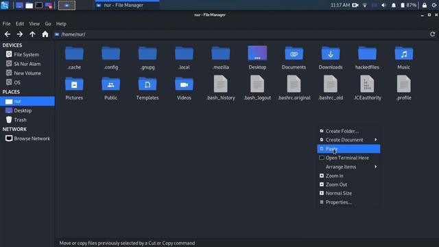 How to make terminal colorful on Kali Linux | Parrot os terminal theme | Works on any Linux✔️ смотреть онлайн