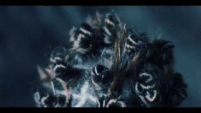 ЖЕНСКИЕ СТРИЖКИ | FEMALE HAIRCUTS смотреть онлайн