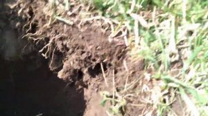 тест на грунте GC1071?