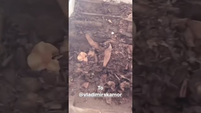 Фильтр салона jzx100 смотреть онлайн