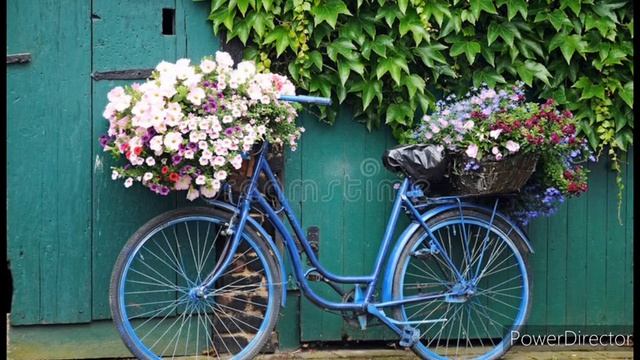 सपने में साइकिल दिखना | Dream about bicycle | Riding cycle | Fall from cycle @beautifulworld4099 смотреть онлайн