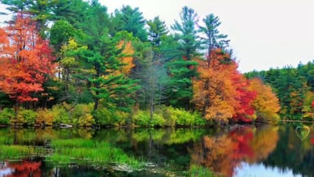 Истории из жизни. В тот вечер Антон влюбился в свою жену ещё раз...Жизненные истории. смотреть онлайн