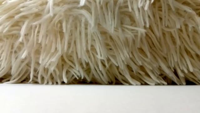 Как сделать пенал для Lps смотреть онлайн