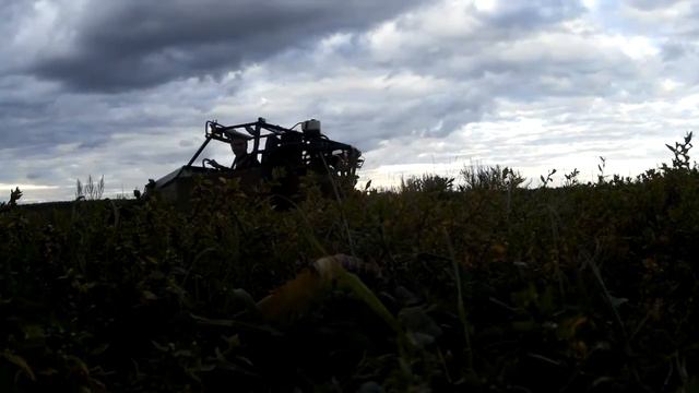 Buggy pilot смотреть онлайн