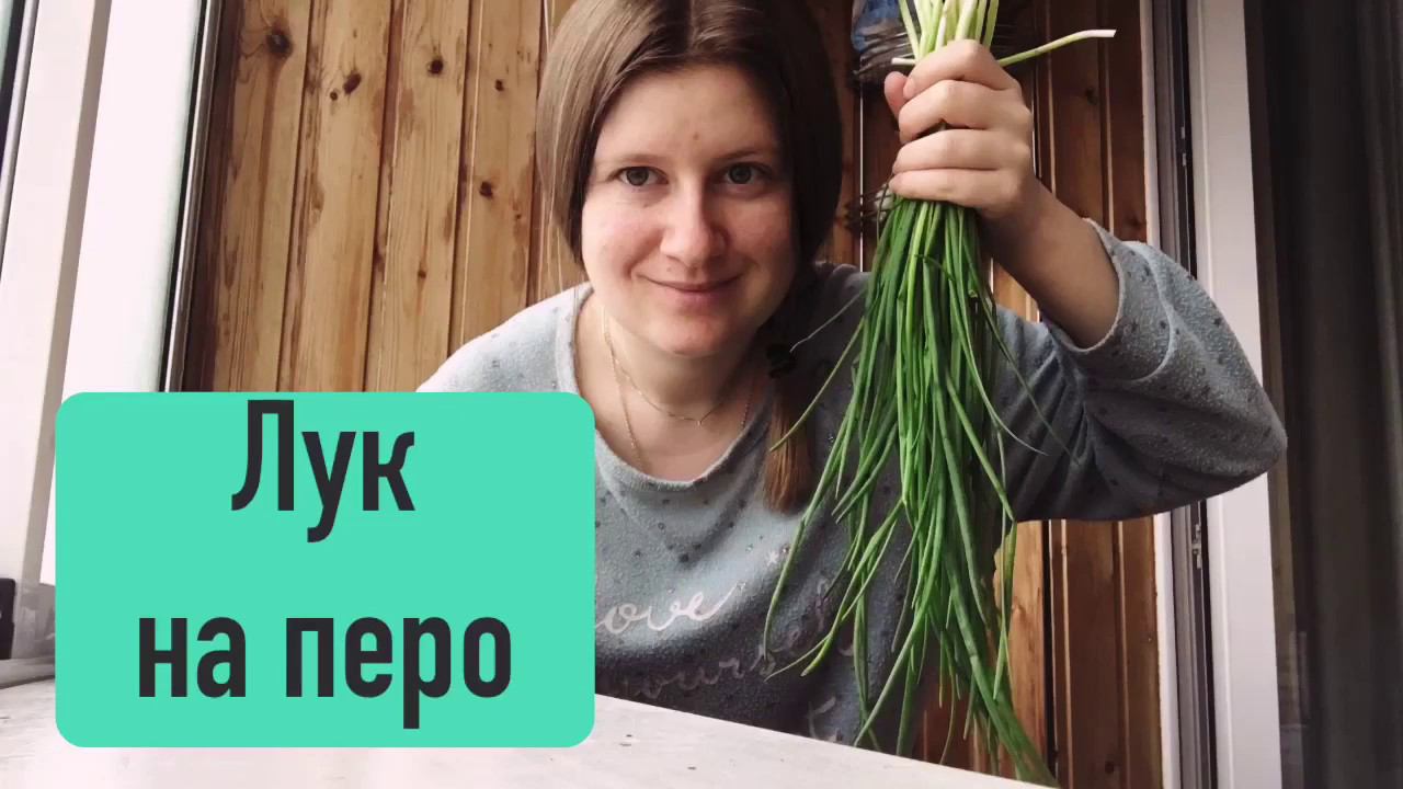 Огород на окне смотреть онлайн