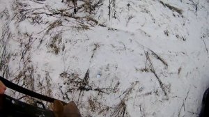 Тест котовских порохов салют 4 и сунар