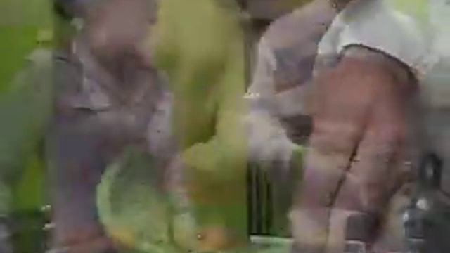 homus do moa смотреть онлайн