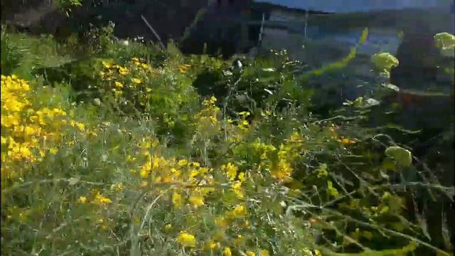 ЖАРКО И СУХО,🙄ГОТОВЛЮСЬ К ПОЛИВУ😊КАК ЛЕЧУ МУЖА😁😷🤕🥵😡 смотреть онлайн