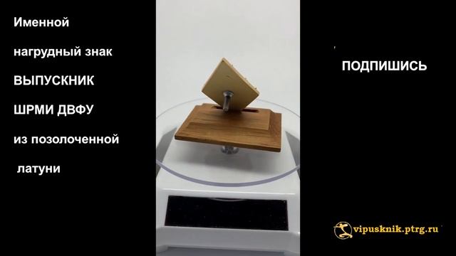 №1824 Именной нагрудный знак ВЫПУСКНИК ШРМИ ДВФУ из позолоченной латуни смотреть онлайн