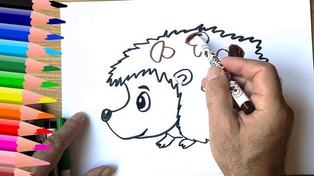 How To Draw A Hedgehog For Kids | Hedgehog Drawing Lesson