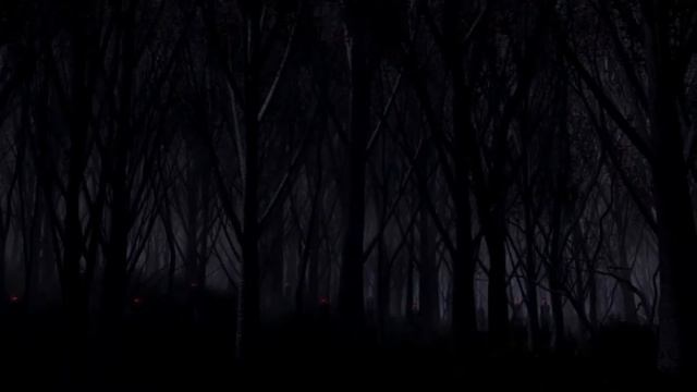 САМЫЕ СТРАШНЫЕ ЗВУКИ В МИРЕ (часть 2) смотреть онлайн