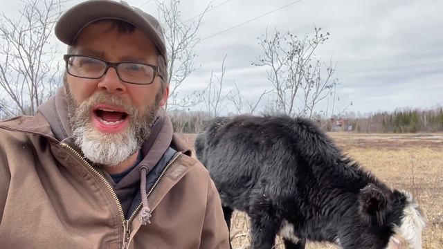 COW COME FORTH! THIS IS ABSOLUTELY UNBELIEVABLE. Listen and experience hope. смотреть онлайн