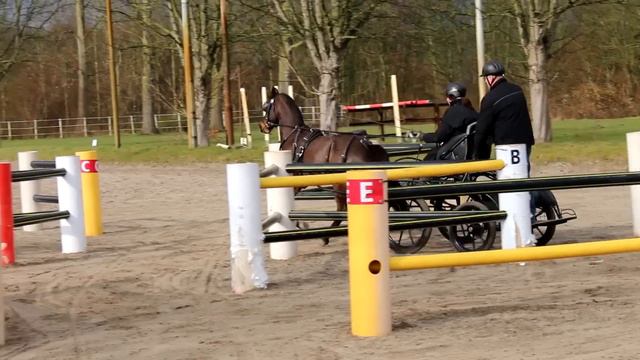 Vlog #5 Clinic Theo Timmerman | Vilaro смотреть онлайн