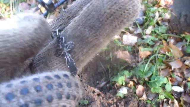 смотрите на моём канале смотреть онлайн