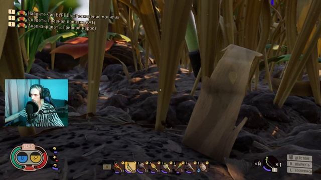 ЛУЧШИЙ БОЕВОЙ СЕТ СОБРАН! GROUNDED #боевой #сет #grounded смотреть онлайн