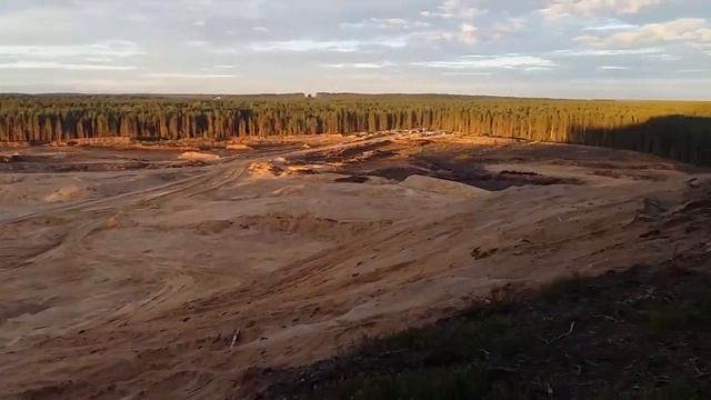 ЧЕРНИЧНИК У ОЗЕРО КРАСАВИЦА смотреть онлайн