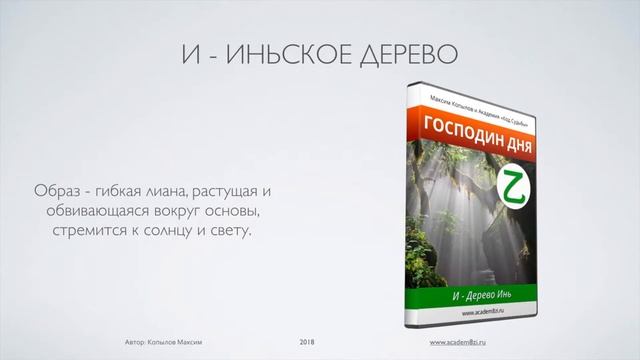 Урок 3: Как определить Ядро Личности, сильные и слабые стороны человека смотреть онлайн