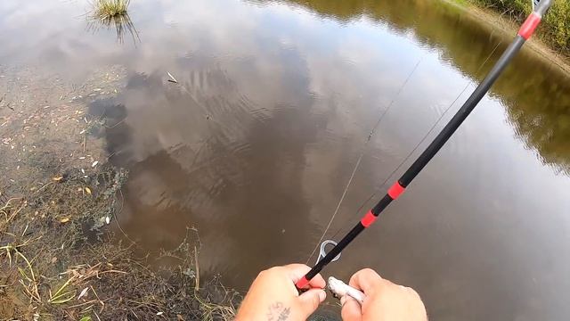 ХИЩНИК В ПЕРЕСОХЩЕЙ РЕКЕ!!! МАХОВАЯ УДОЧКА/СПИННИГ БЛЕСНА ВЕРТУШКА смотреть онлайн