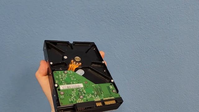 Жеский диск WD WD5000AAKS 500гб 3.5 смотреть онлайн