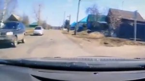 агрессивный алабай набросился на школьника в Красноярском крае. Собака напала на ребёнка